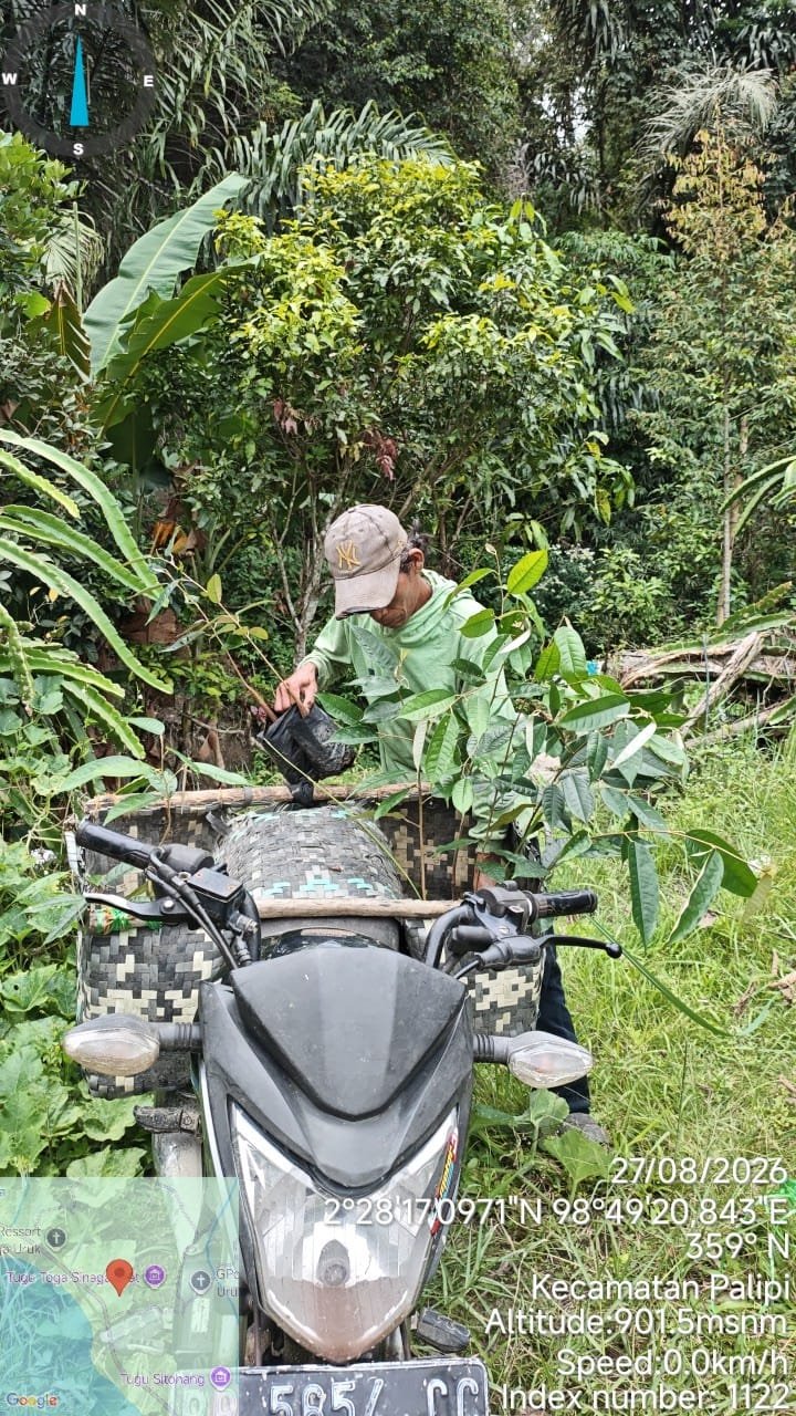 Dokumentasi kegiatan: Konsisten Merawat Alam, PPTSB dan PWBI Lakukan Penyuluhan serta Penyulaman 9.000 Pohon di Samosir